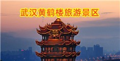 黄色电影用力插
