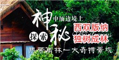 大鸡巴操骚逼电