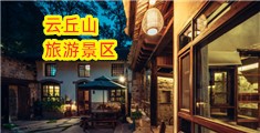 老逼视频