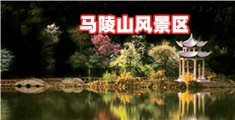 日屁啊啊啊不要了在线观看