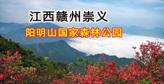 骚逼网.com